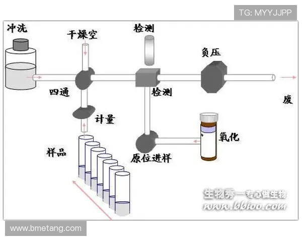 上海足球队选拔赛技术分析与表现评估全面解读