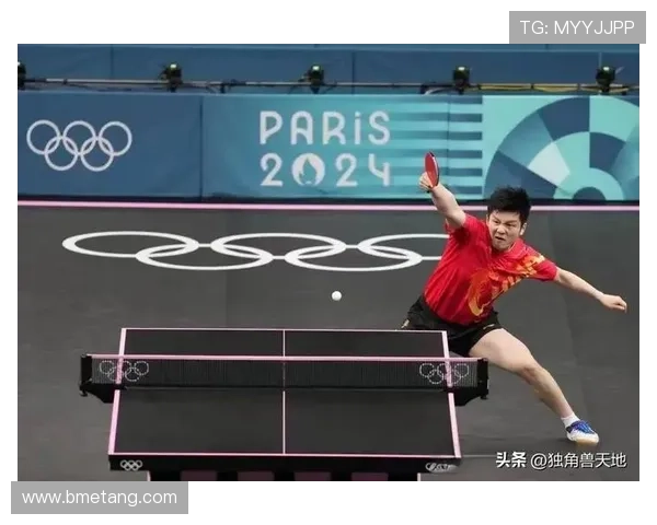 乒乓球新手必看：全面提升个人能力的入门技巧与训练方法