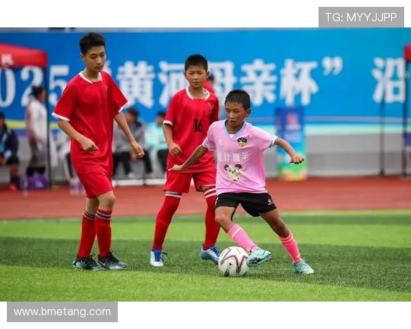 像足球明星的狗一样追逐梦想与荣耀的宠物生活探秘