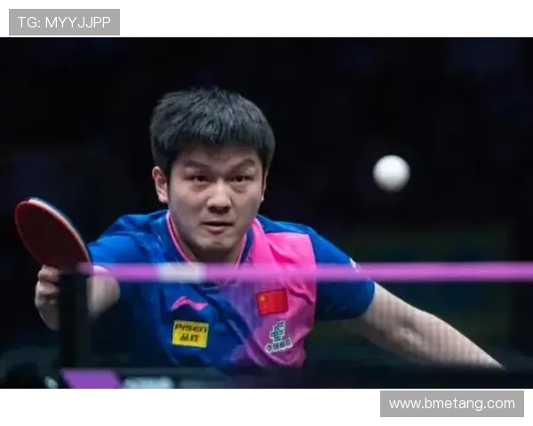 重庆乒乓球队状态引发热议球迷与专家观点大相径庭