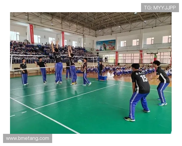 杭州羽毛球队战术解析：构建高效控制体系的成功之道