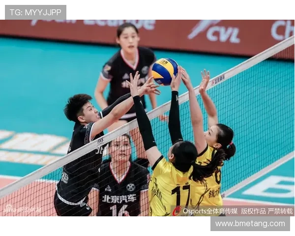 专访杨磊：探寻排球运动背后的成功秘诀与发展之路